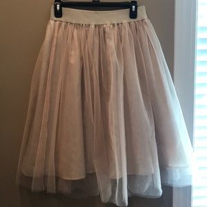 Pink Lily Boutique Tulle Skirt